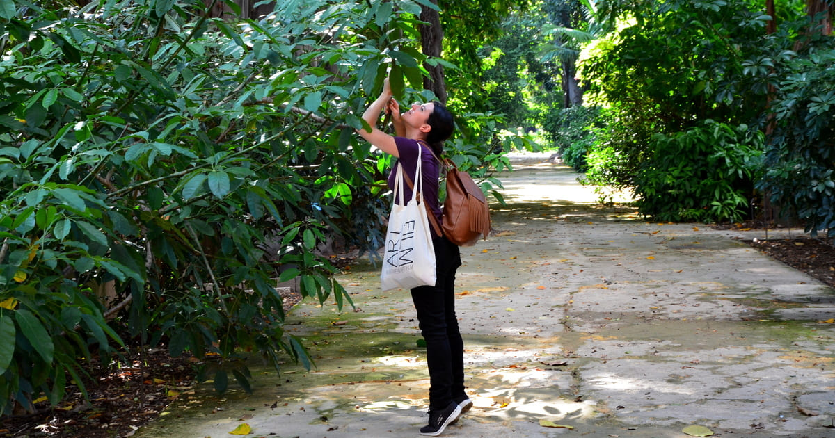 Passeggiata Orto botanico Palermo