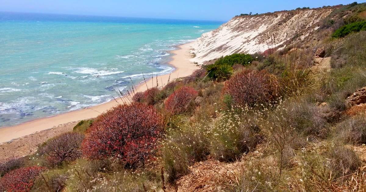 Spiaggia e falesia Riserva Naturale Torre Salsa - Realmonte